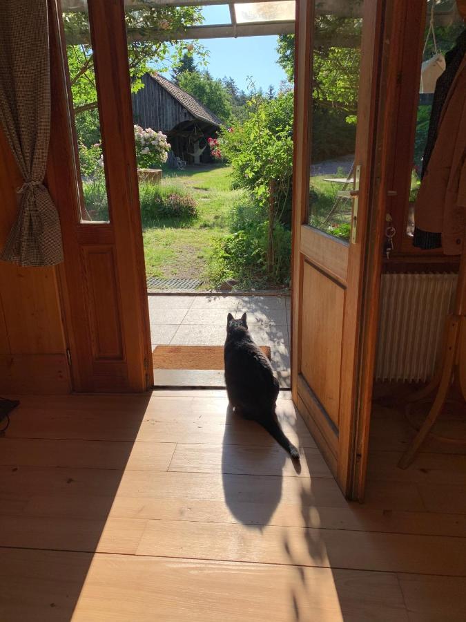 Le Manoir Des Sens - Foret De Bergheim Exteriör bild